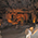 Die Cango Caves